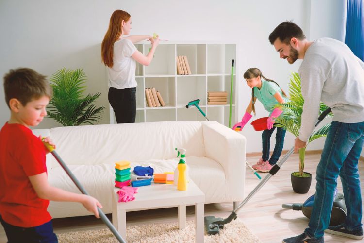 Easy Maintenance and Cleanability