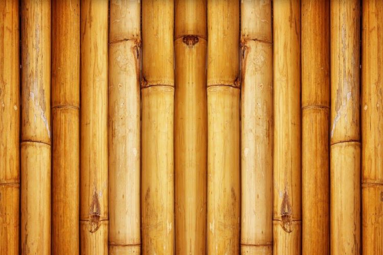 Bamboo Flooring