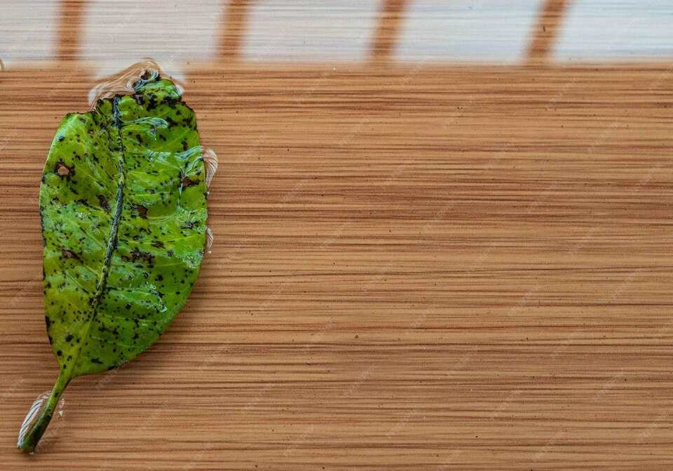Eco-Friendly Flooring Dubai