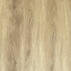 LVT 551