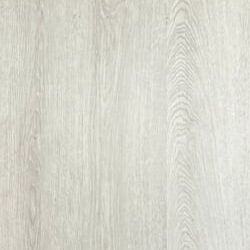 LVT 554
