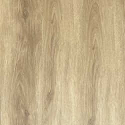 LVT 556