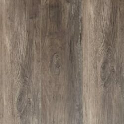 LVT 558