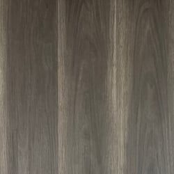 LVT 562