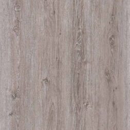 LVT 557