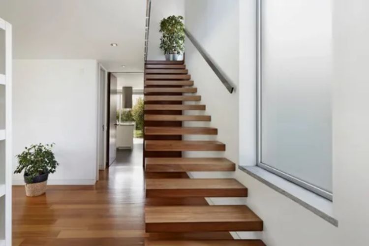 Stylish Designs