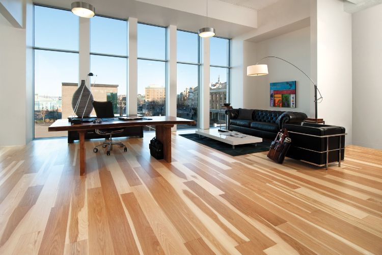 Trendy Design Options to Elevate Your Home
