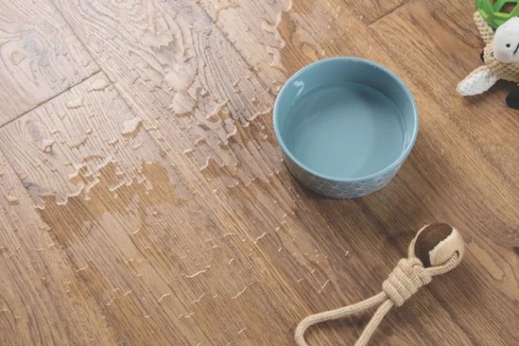Waterproof and Perfect for Every Room