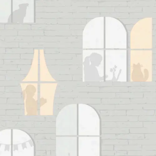 ( 5165-1 Shine window ) DW